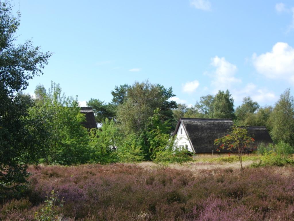 Doppelhaushaelfte In Vitte Auf Hiddensee Exterior photo